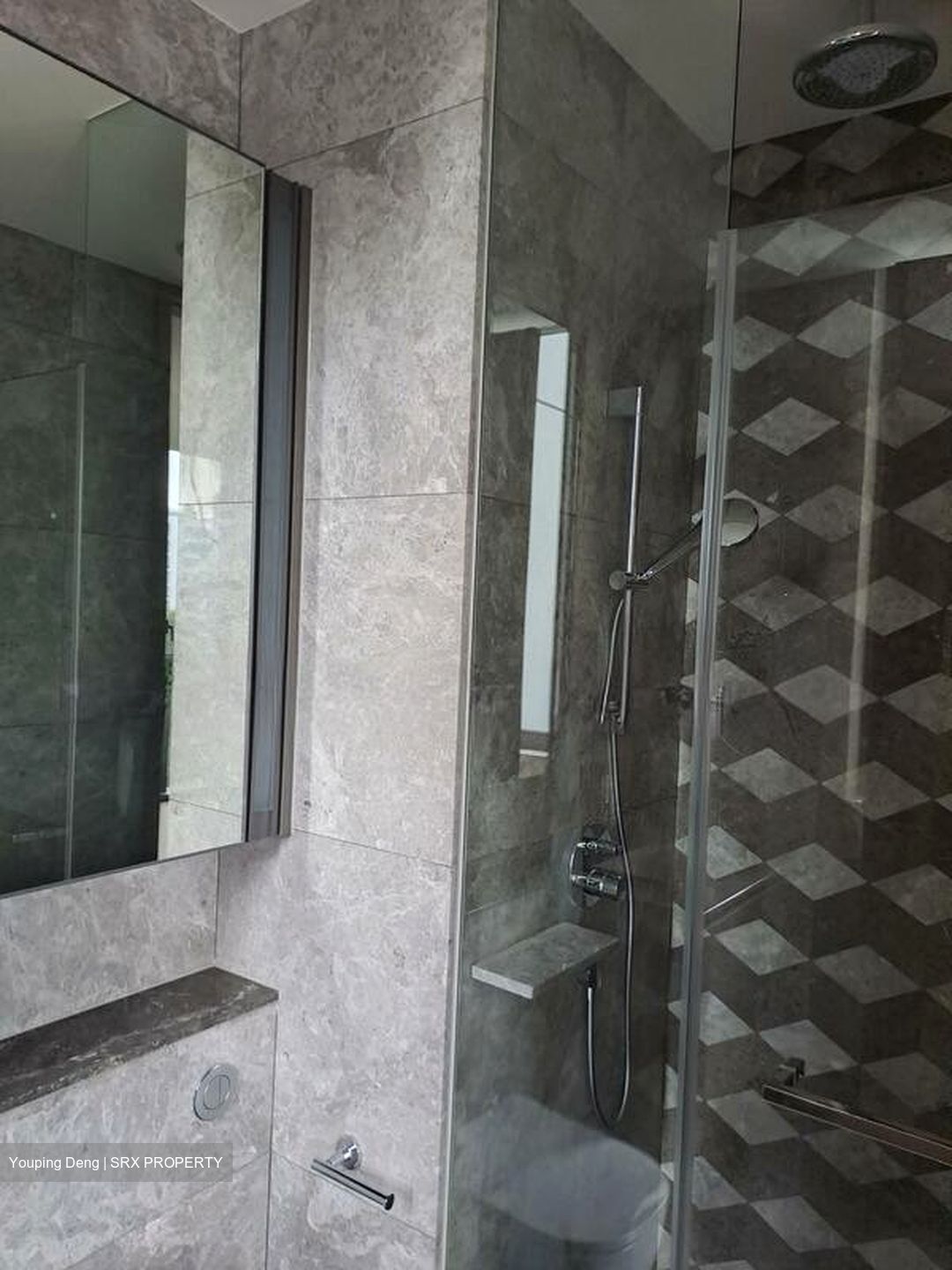 Leedon Green (D10), Condominium #504107881